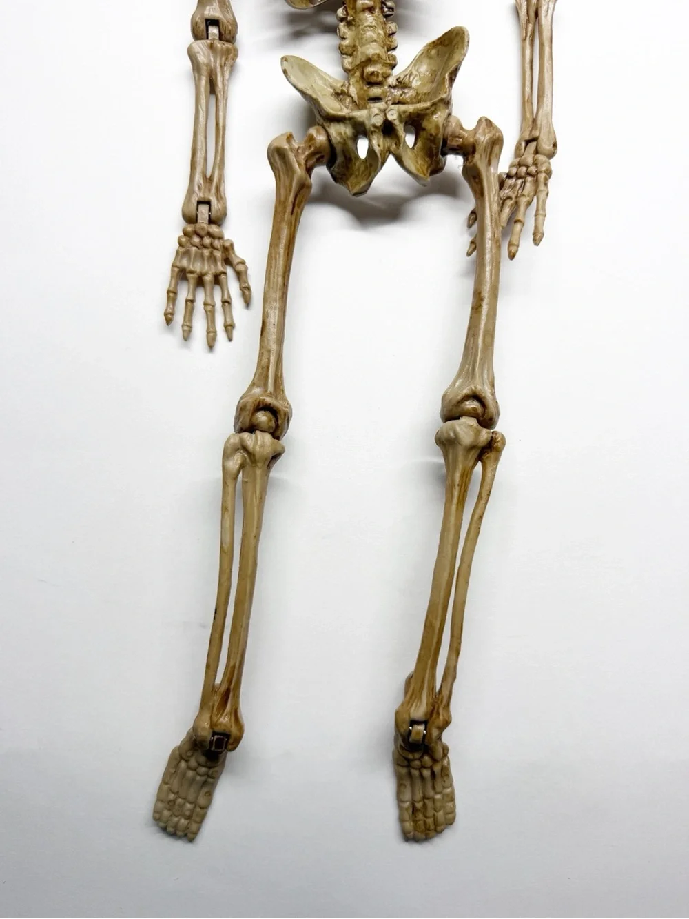 Magic Power Creepy Evil Clown Skeleton Hanging Articulated 14”